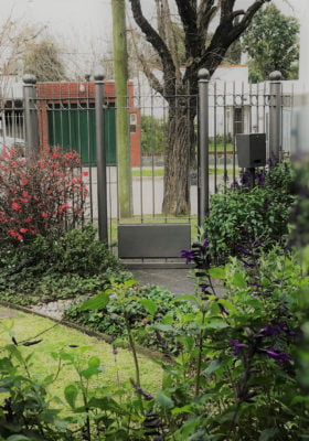 Jardines Floracion invernal