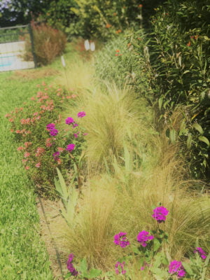 Jardines patio trasero