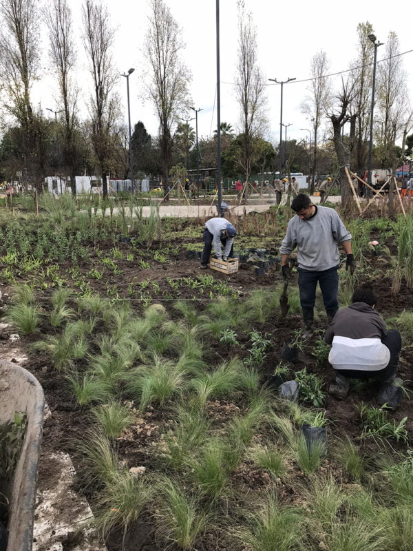 Plantacion Plaza