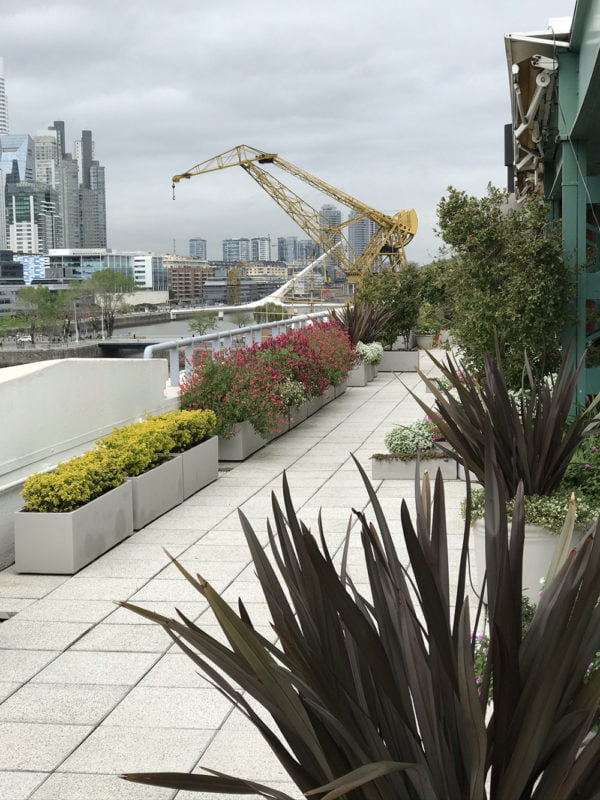 Terraza formios y salvias