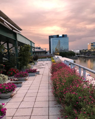 Terraza vista principal